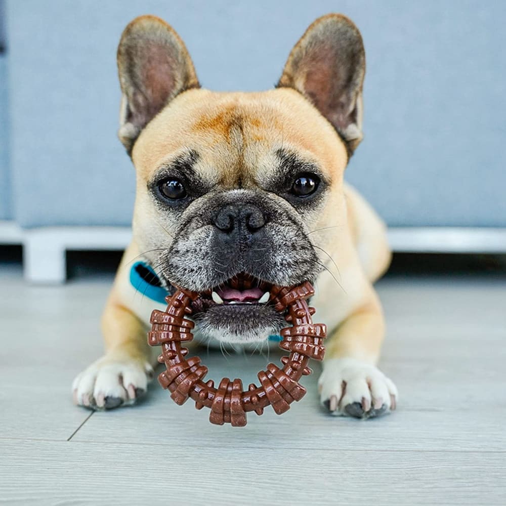 Nylabone Power Chew Textured Rings Are Popular Soft Chew Toys For Dogs Made Of Strong Nylon