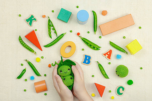 Sensory Toys for Hands: Vegetables, Wood Blocks, Eco-friendly Crafts, Early Childhood Learning Concepts