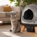 Grey tabby cat sitting next to a modern grey automatic self-cleaning litter box with wooden legs in a living room.
