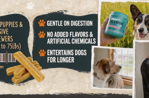 Mighty Paw brand multi-product infographic compilation on a textured background. Top left: Text 'FOR TEETHING PUPPIES & AGGRESSIVE POWER CHEWERS (Supports up to 75LBs)' and hardness scale with stacked chews photo. Center: Text highlighting 'GENTLE ON DIGESTION', 'NO ADDED FLAVORS & ARTIFICIAL CHEMICALS', and 'ENTERTAINS DOGS FOR LONGER'. Bottom center: Photograph of a brown and white dog looking out a window. Bottom right: Photograph of a man showing a wireless bell to a dog. Top right: Photo of man holding allergy supplement container next to a Corgi, with orange 'BARLEY APPROVED' logo.