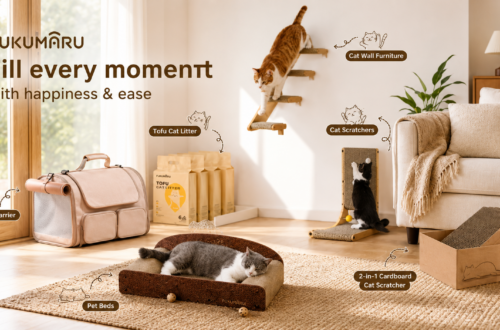 A warm living room displaying various FUKUMARU cat products, including a cat carrier, tofu cat litter, a cat scratcher bed sofa, an L-shaped vertical scratcher, a 5-in-1 scratcher box, and wall-mounted climbing steps with cats actively playing.