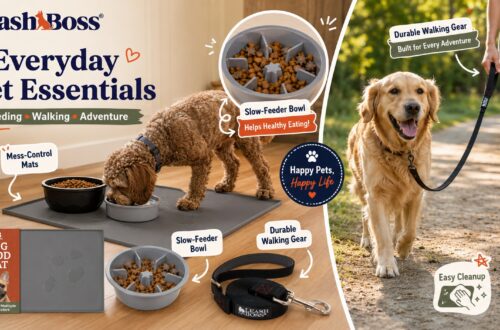 Leash Boss everyday pet essentials collage featuring feeding mats, a slow feeder bowl, and durable dog leash. Dogs are shown eating indoors and walking outdoors, highlighting feeding, cleanup, walking, and adventure use.