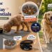 Leash Boss everyday pet essentials collage featuring feeding mats, a slow feeder bowl, and durable dog leash. Dogs are shown eating indoors and walking outdoors, highlighting feeding, cleanup, walking, and adventure use.