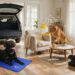 Arf Pets pet products in a sunny living room: a Black Labrador on the blue self-cooling mat, a golden retriever pressing the interactive treat dispenser button, a black cat on the curved cardboard scratcher, flea-repellent pads on the coffee table, and the quilted cargo liner in the background — with playful cartoon annotations.