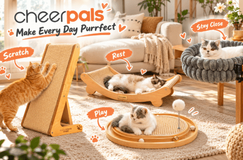 CHEERPALS cat furniture collection featuring a wooden cat scratcher, curved scratching lounge, interactive cat toy, and plush desk-mounted cat bed in a cozy, sunlit living room.