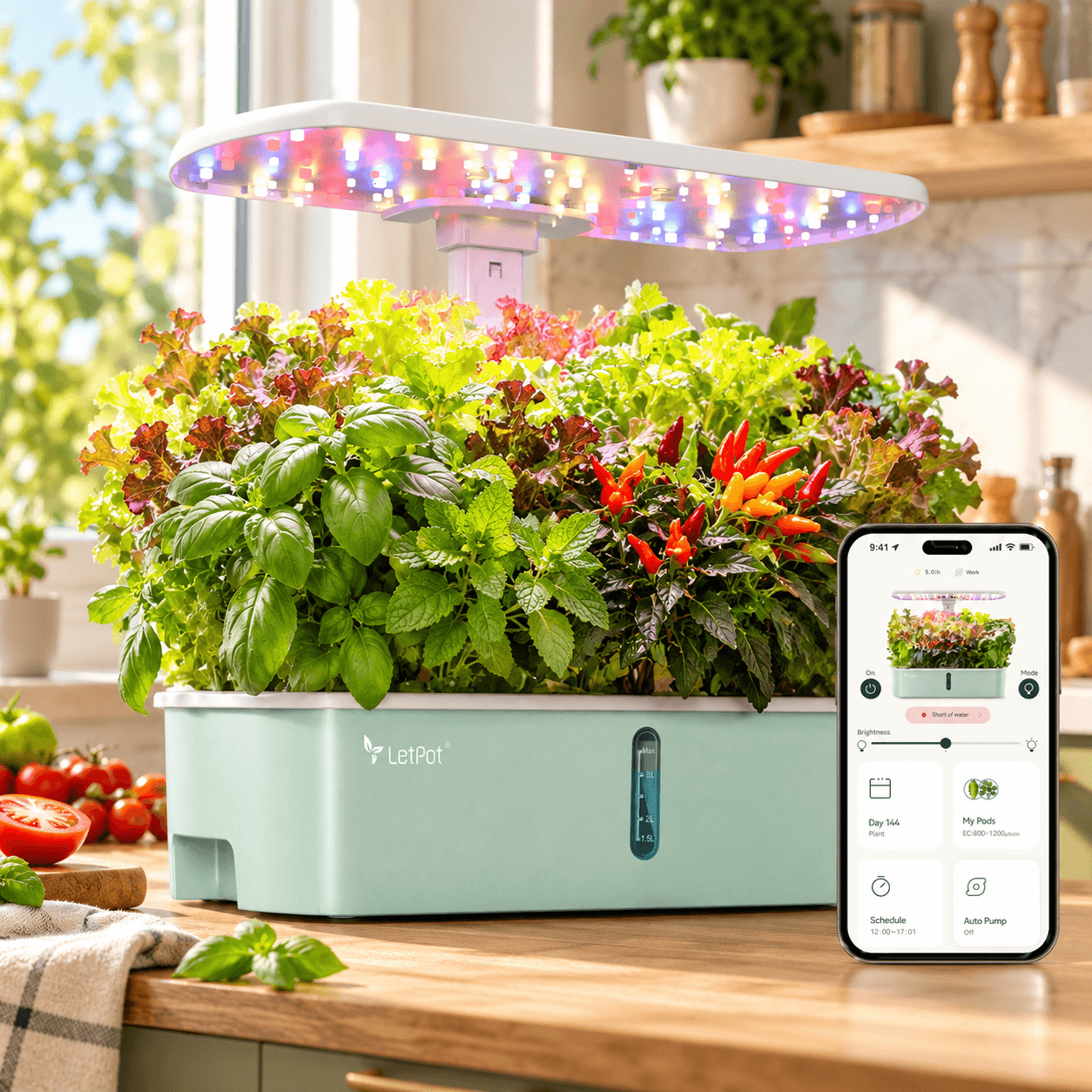 Mint-green LetPot LPH-Air smart hydroponic garden with an adjustable LED grow light, colorful lettuce, basil, mint, and peppers, displayed on a bright kitchen counter beside a smartphone showing the LetPot app.
