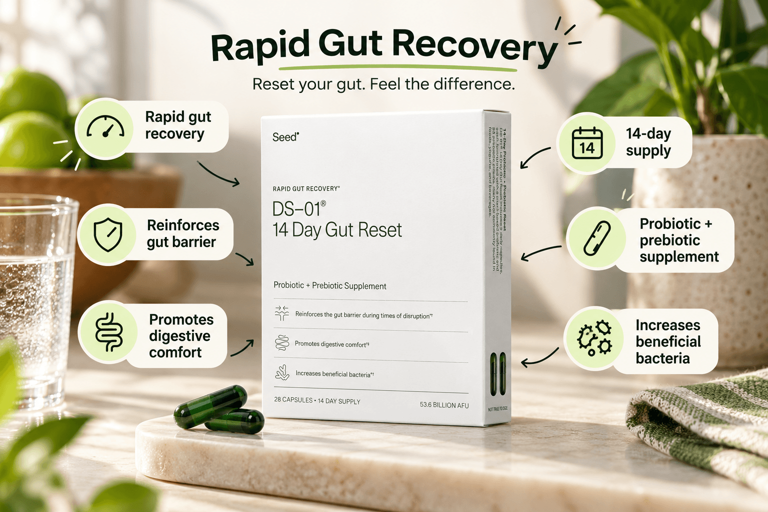 Seed DS-01 14 Day Gut Reset probiotic and prebiotic supplement in minimalist white packaging with green capsules on a bright kitchen counter. Graphic annotations highlight a 14-day supply, digestive comfort, gut barrier support, and beneficial bacteria.