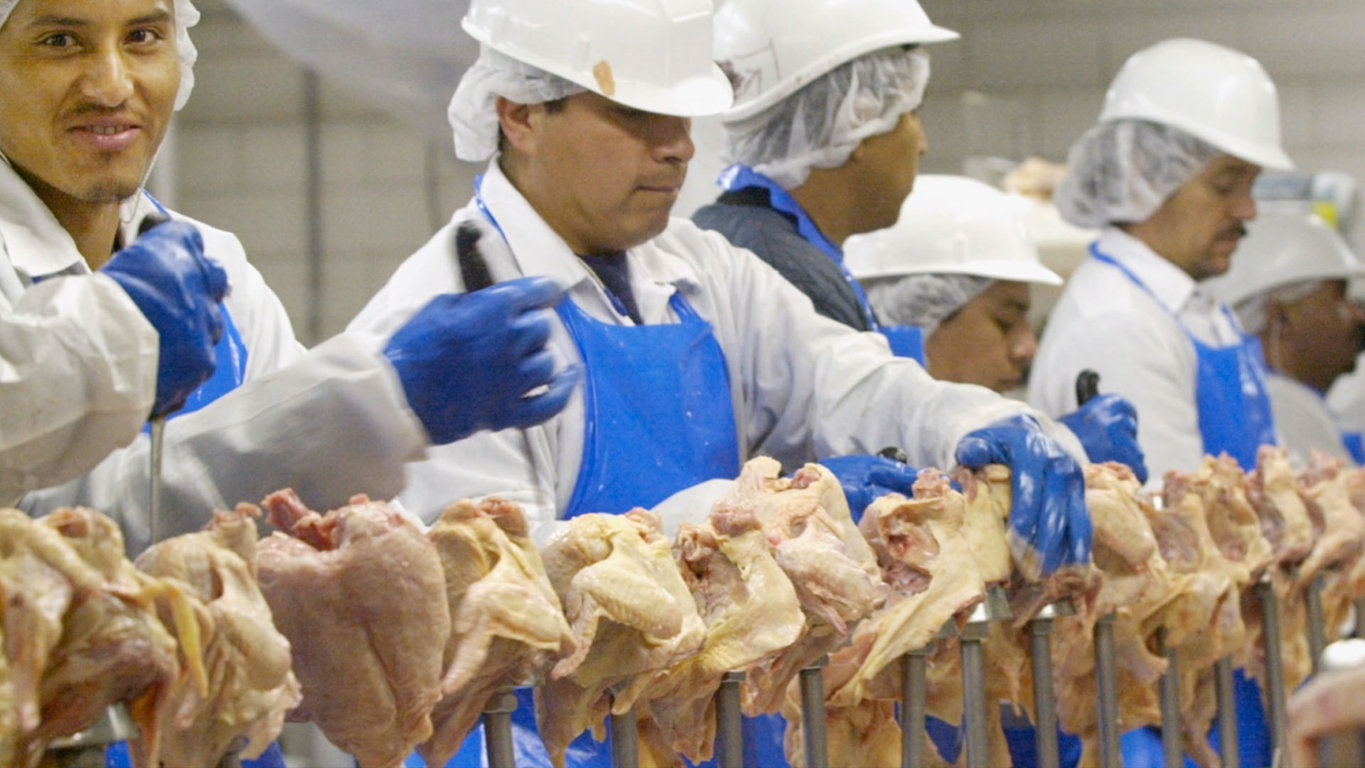 Ruffling feathers to prevent more harm to workers in the US poultry