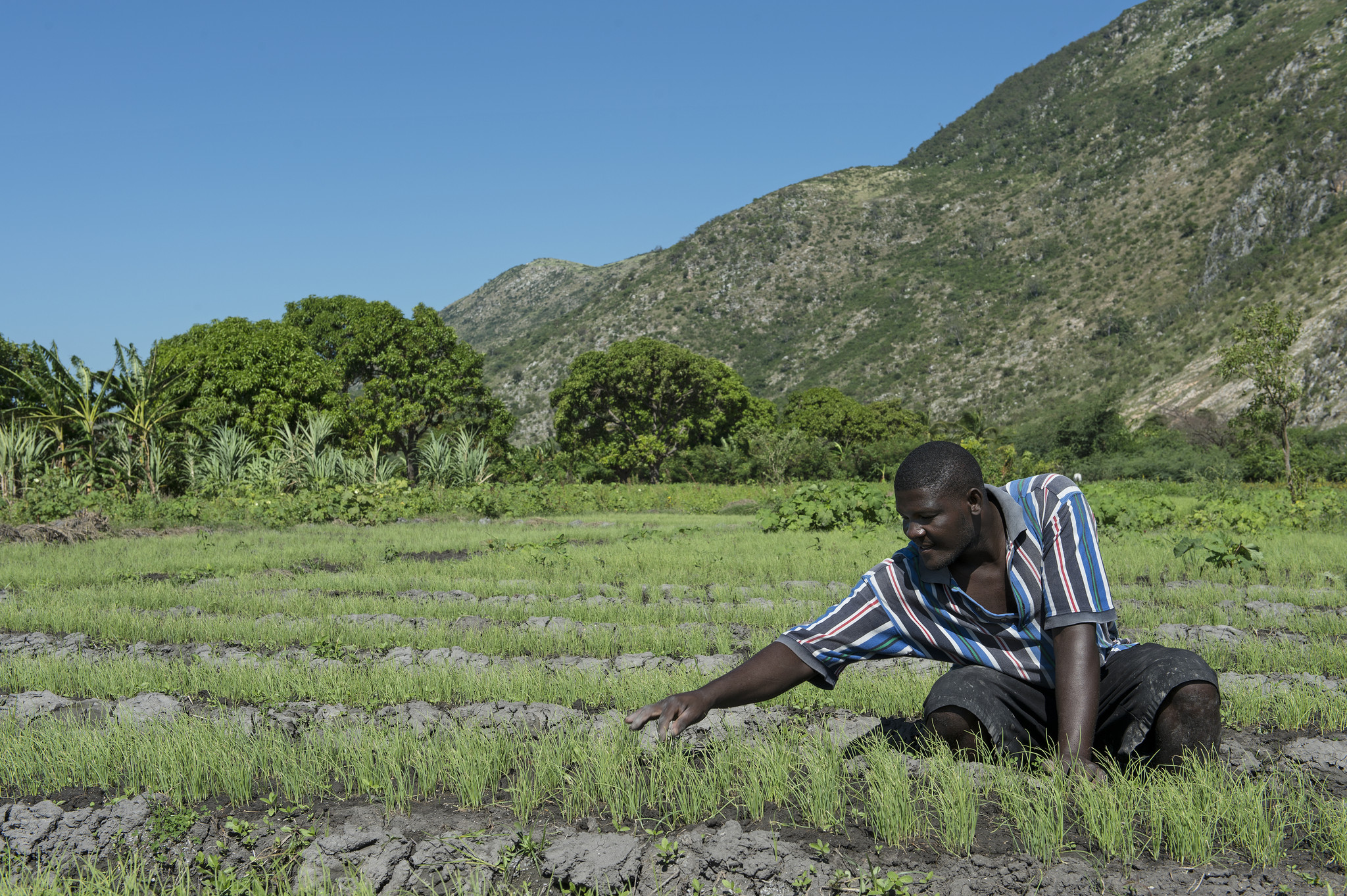 Experts Agree Enhancing Farmers Knowledge Access To Markets And Experts agree enhancing farmers knowledge access to markets and