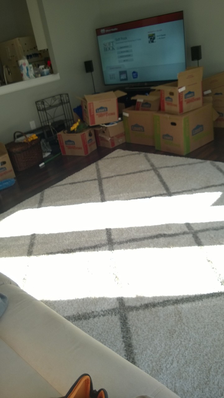Partially unpacked living room