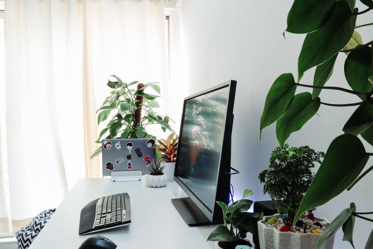 Home office with plants