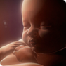 New TrueLife.org Video: <em>Is Abortion Wrong?</em> Coming Christmas 2013