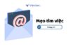 Cách trả lời mail trúng tuyển bằng tiếng Anh
