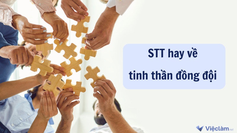 Những câu nói, STT hay về tinh thần đồng đội giúp đồng nghiệp thêm khắng khít