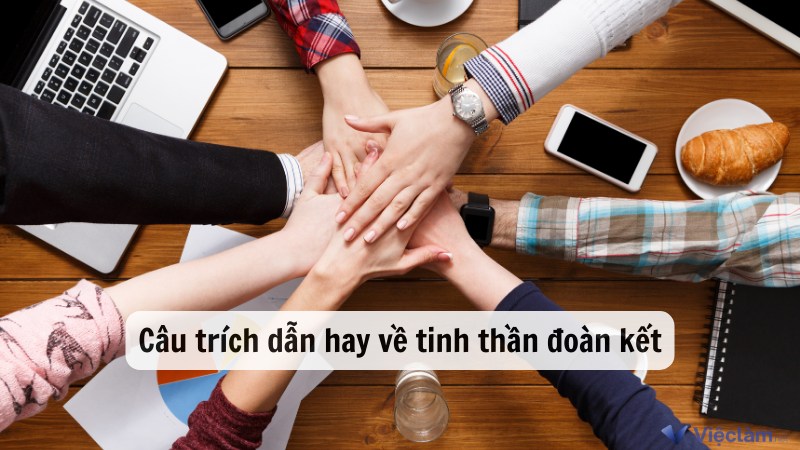 Câu trích dẫn hay về tinh thần đoàn kết