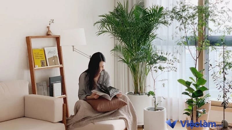 Hãy tìm những hướng xử lý mới cho vấn đề và dặn bản thân mình cần tĩnh tâm hơn