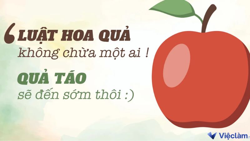 Luật hoa quả, quả táo, quả táo nhãn lồng là gì?