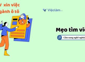 Top Mẫu CV Xin Việc Ngành Ô Tô Chuyên Nghiệp, Ấn Tượng Top Mẫu CV Xin Việc Ngành Ô Tô Chuyên Nghiệp, Ấn Tượng