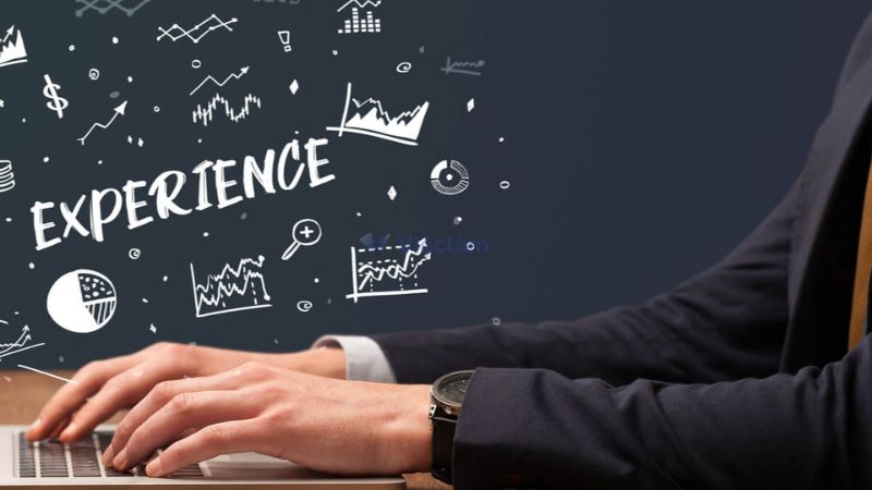 Kinh nghiệm làm việc