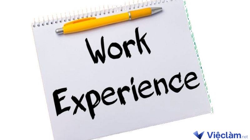 4. Phần kinh nghiệm làm việc