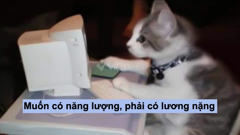 STT hài hước về công việc: "Muốn có năng lượng, phải có lương nặng"