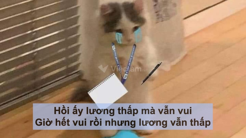 STT hài hước về công việc: "Hồi ấy lương thấp mà vẫn vui, giờ hết vui rồi nhưng lương vẫn thấp."