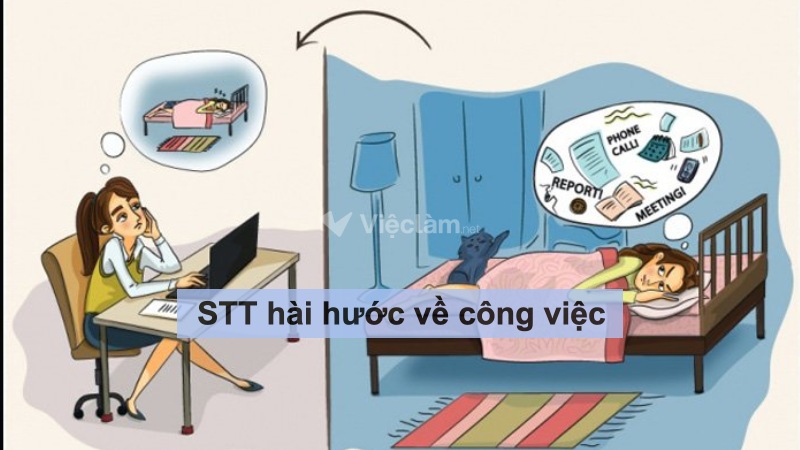Tổng hợp những stt hài hước về công việc giúp bạn thư giãn