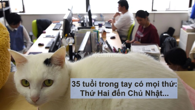 STT hài hước về công việc: "35 tuổi trong tay có mọi thứ: Thứ Hai đến Chủ Nhật"