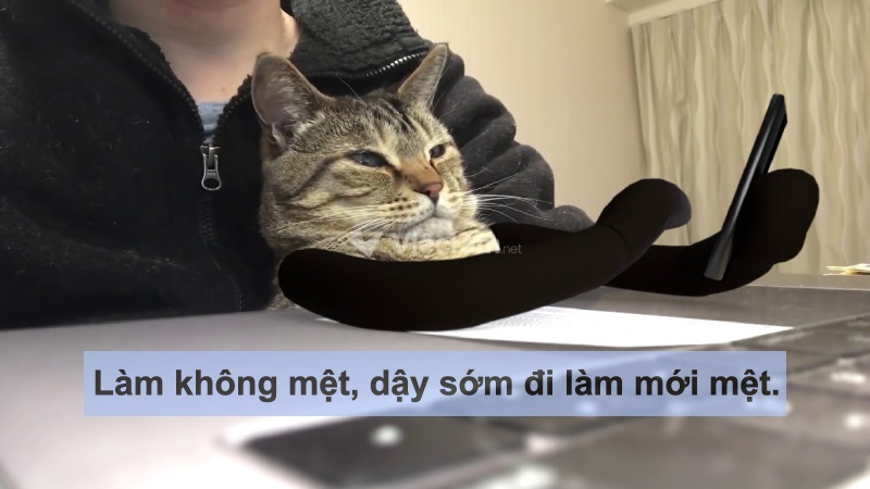 STT hài hước về công việc: "Làm không mệt, dậy sớm đi làm mới mệt."