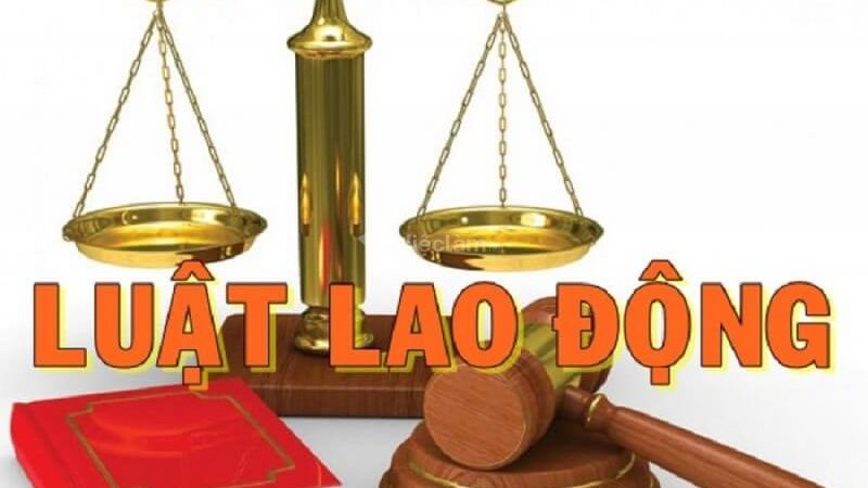 Kiến thức về luật lao động và chính sách nhân sự
