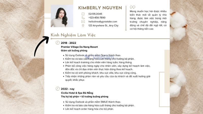 Hình thức trình bày rõ ràng, sử dụng bullet list để liệt kê trong CV