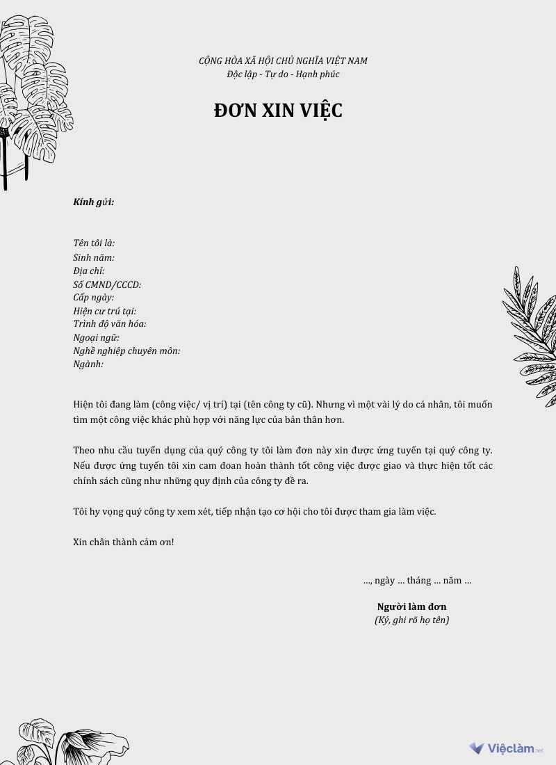 Mẫu đơn xin việc đơn giản, phù hợp với nhiều lĩnh vực