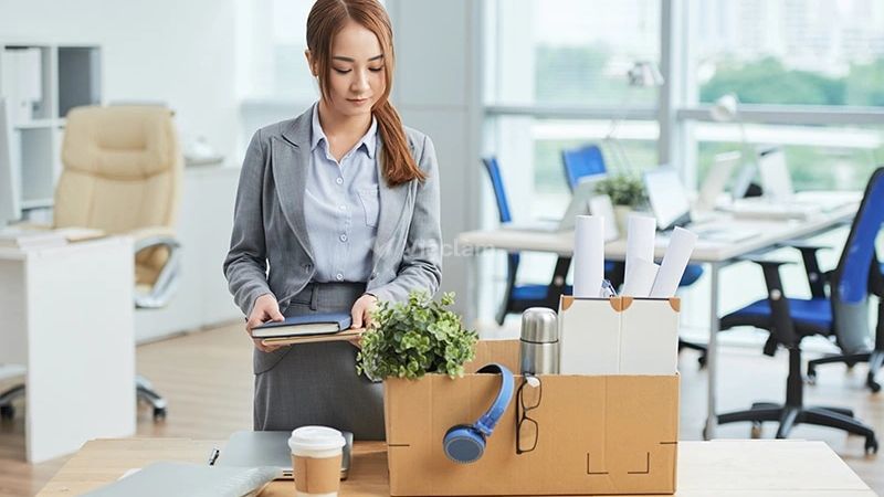 Ngành, nghề, công việc thông thường