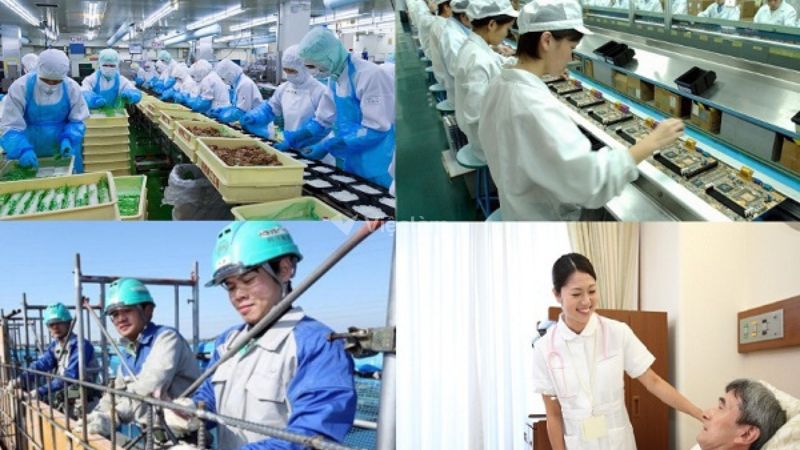 Sơ lược về nhu cầu thị trường lao động hiện nay