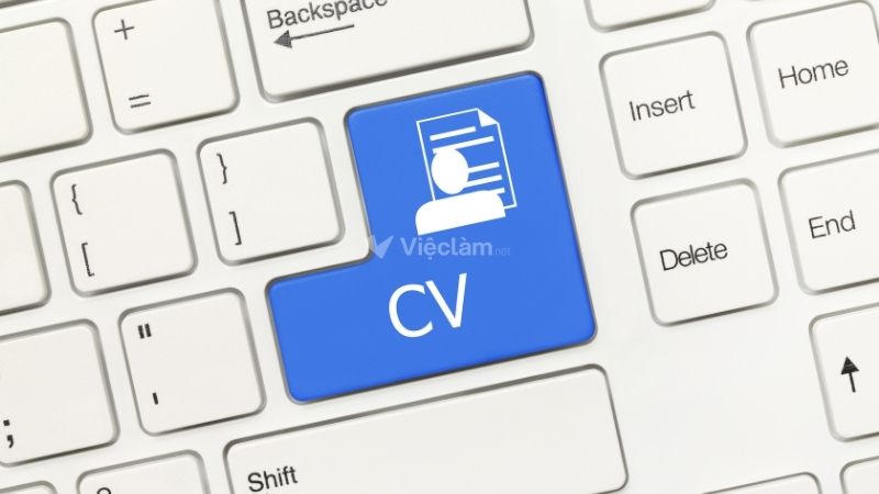 Lưu ý quan trọng khi viết CV dành cho sinh viên năm nhất