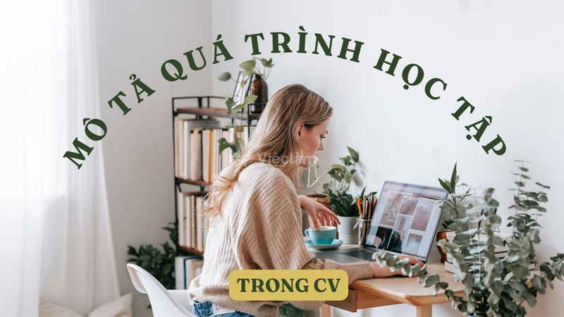 Mô tả quá trình học tập trong CV