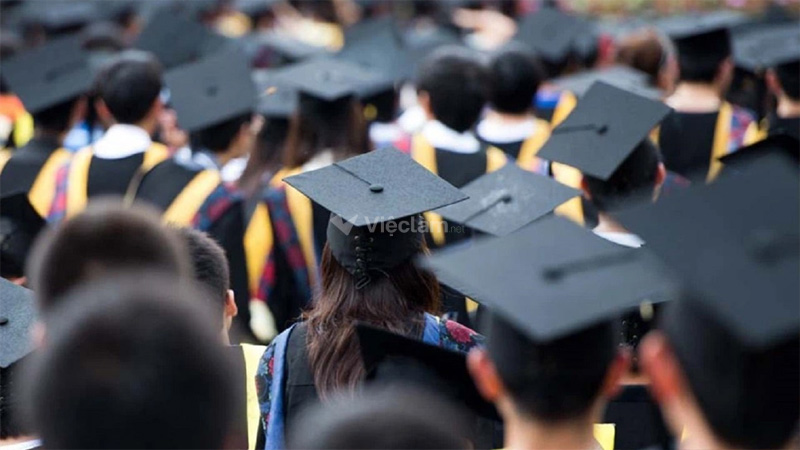 Mẫu mục tiêu nghề nghiệp ngân hàng cho sinh viên mới tốt nghiệp