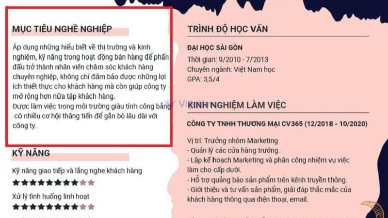 Cách viết mục tiêu nghề nghiệp cho vị trí nhân viên chăm sóc khách hàng.