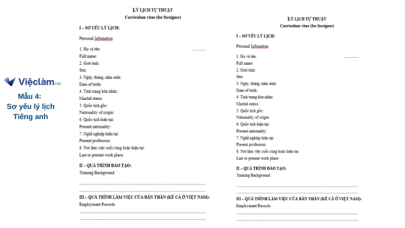 Mẫu sơ yếu lý lịch tiếng anh