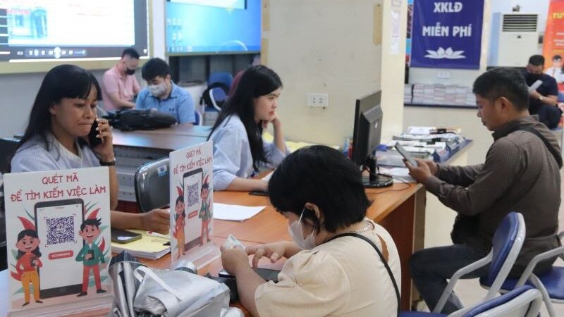 Trung tâm dịch vụ việc làm Quảng Ngãi hỗ trợ tư vấn việc làm