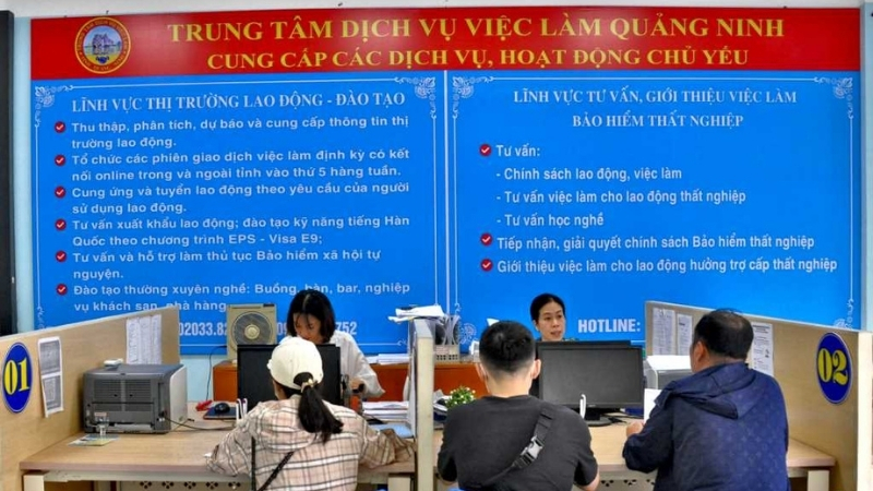Trung tâm Dịch vụ việc làm Quảng Ninh tư vấn việc làm (Nguồn: Cổng thông tin điện tử Tỉnh Quảng Ninh)