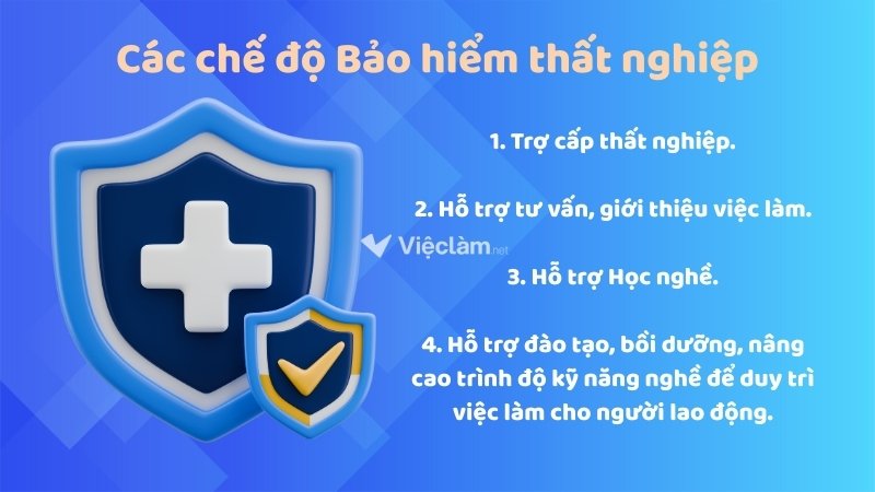 Các chế độ bảo hiểm thất nghiệp theo quy định
