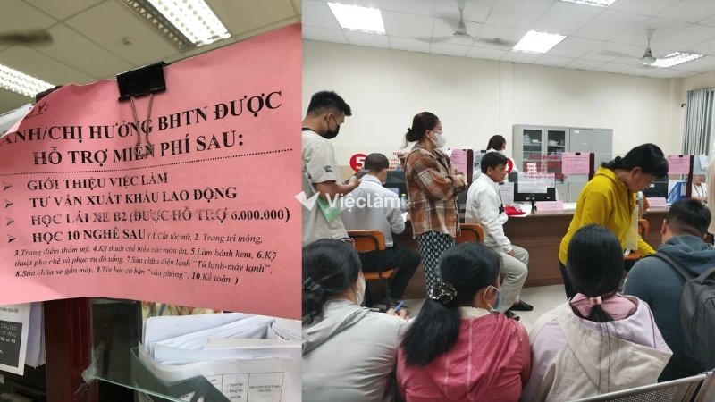 BHTN Quận 12 hỗ trợ dạy nghề lái xe, làm móng, điện lạnh, kế toán,... cho người lao động