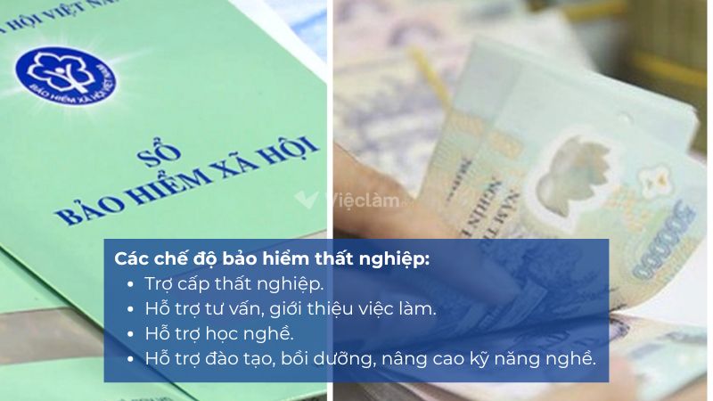 4 chế độ bảo hiểm thất nghiệp