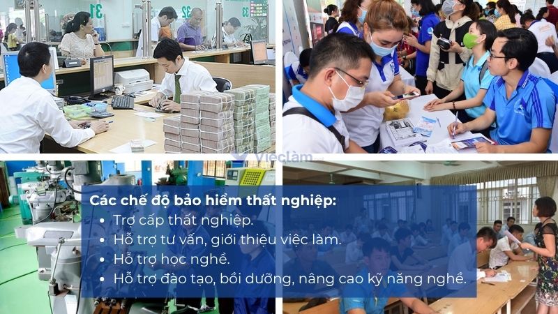 Các chế độ bảo hiểm thất nghiệp 