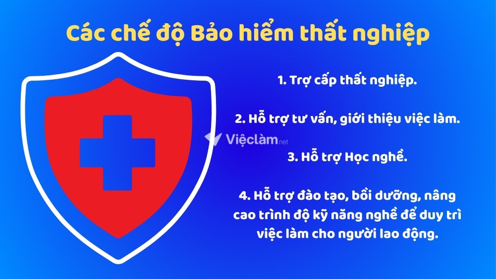 04 chế độ Bảo hiểm thất nghiêp mà người lao động cần quan tâm để bảo vệ quyền lợi bản thân