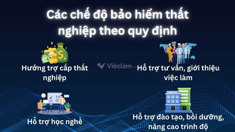 Các chế độ bảo hiểm thất nghiệp theo quy định