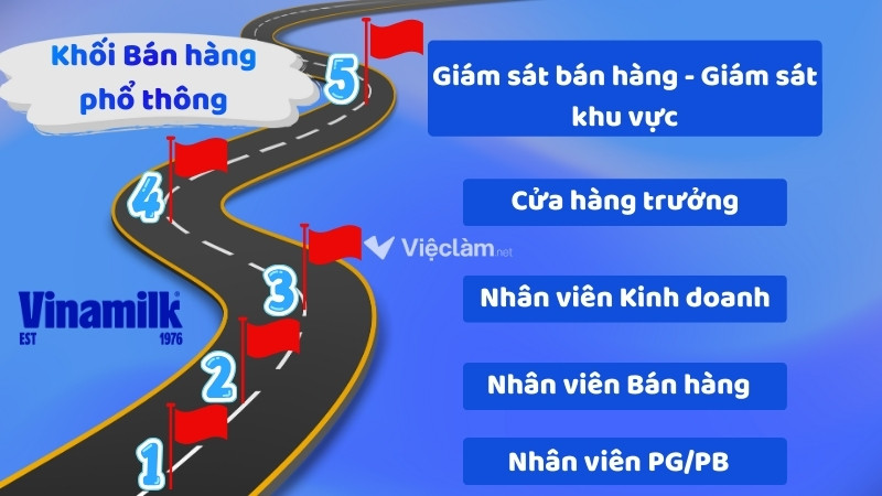 Lộ trình thăng tiến tham khảo cho khối Bán hàng phổ thông tại Vinamilk