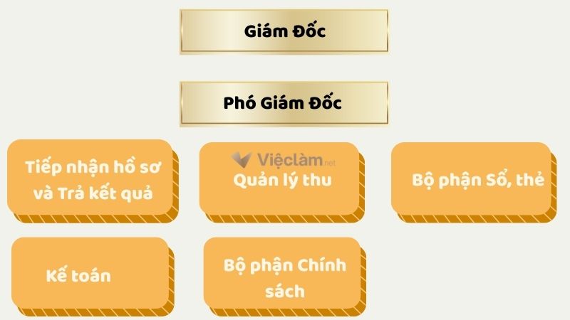 Sơ đồ Cơ cấu tổ chức Bảo hiểm xã hội Quận Ba Đình