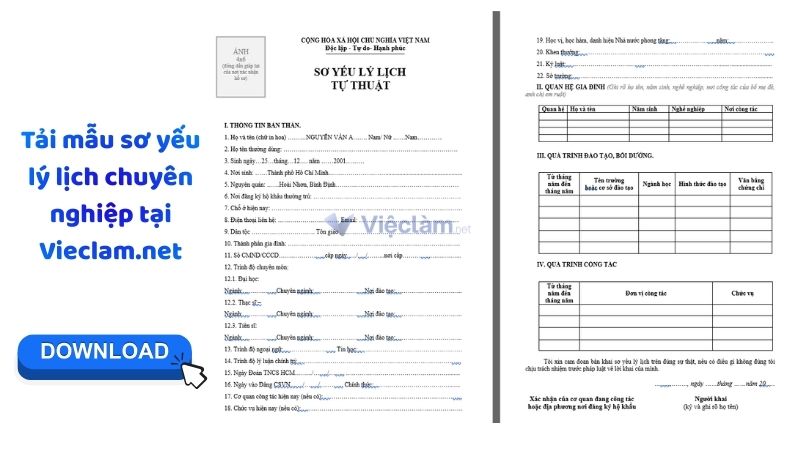 Tải mẫu sơ yếu lý lịch chuyên nghiệp tại Vieclam.net